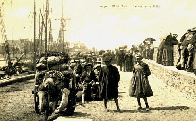 Port de Roscoff (Bretagne)