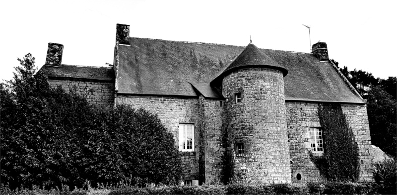 Château de Coëtdigo ou Coedigo à Saint-Avé (Bretagne).