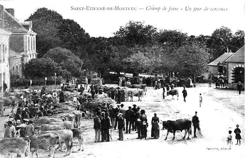 Ville de Saint-Etienne-de-Montluc (Bretagne).