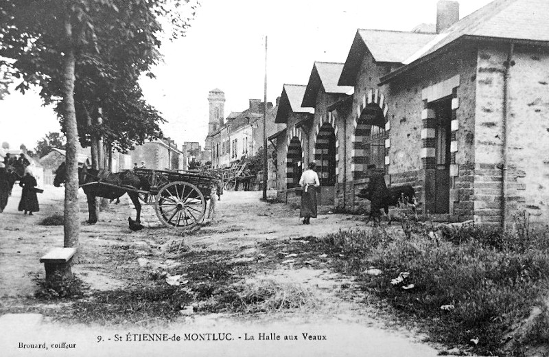 Ville de Saint-Etienne-de-Montluc (Bretagne).