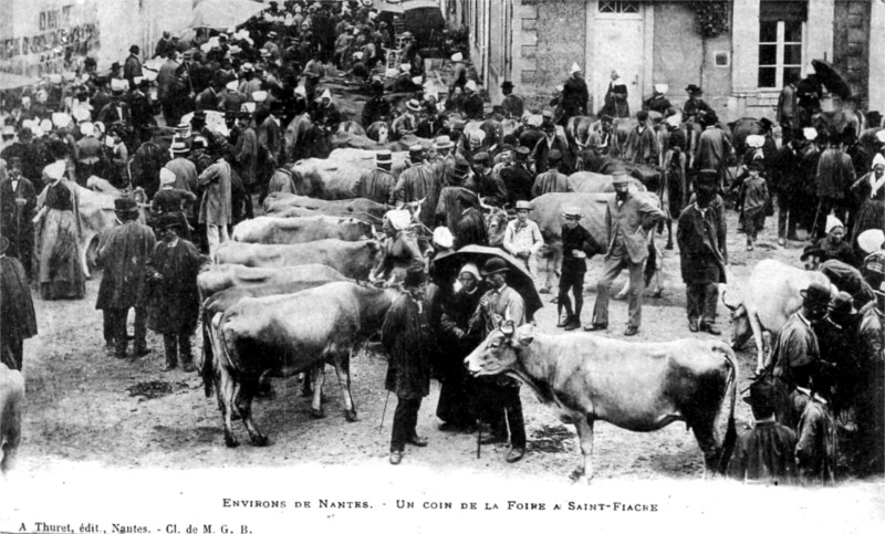 Ville de Saint-Fiacre-sur-Maine (anciennement en Bretagne).