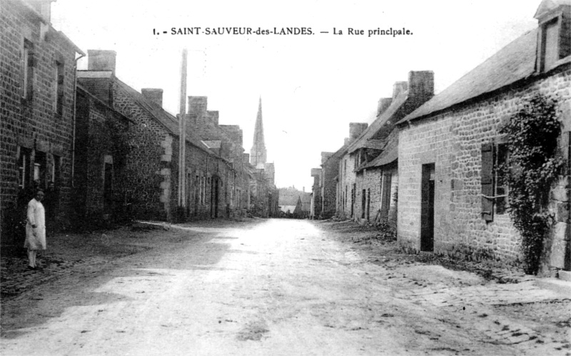 Ville de Saint-Sauveur-des-Landes (Bretagne).