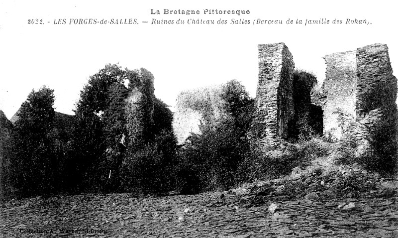 Ruines du chteau des Salles  Sainte-Brigitte (Bretagne).
