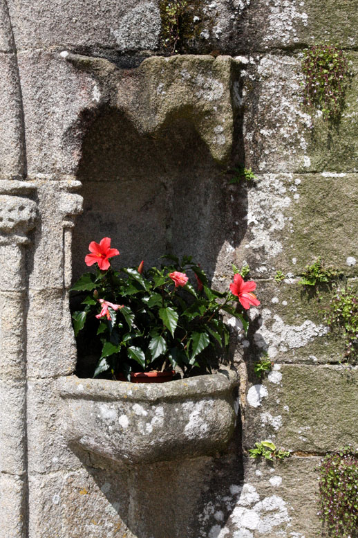 Saint Jean du Doigt (Bretagne) : glise