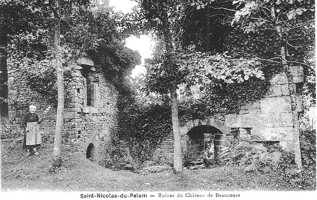 Saint-Nicolas-du-Pelem (Bretagne) : chteau de Beaucours.