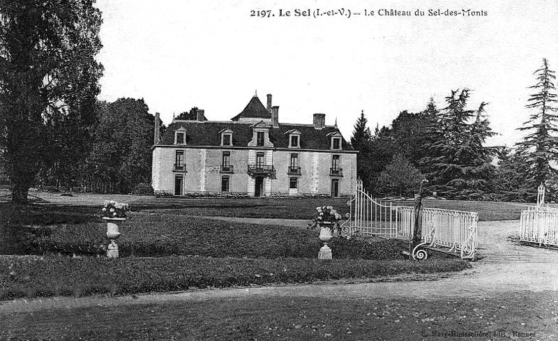 Château du Sel-des-Monts à Sel-de-Bretagne (Bretagne).