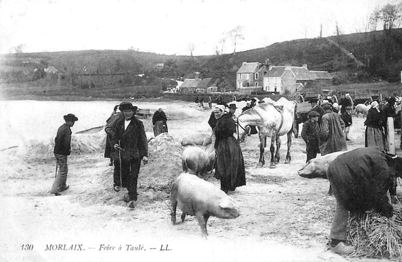 Ville de Taul (Bretagne).