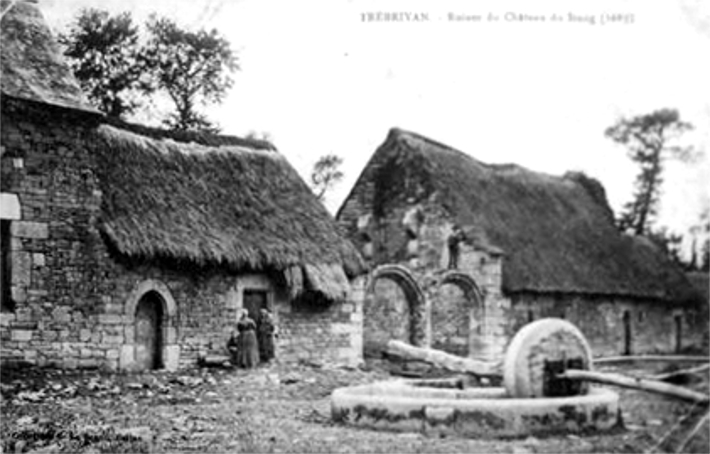 Chteau de Trbrivan (Bretagne).