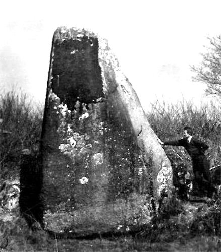 Menhir de Trgomar (Bretagne).