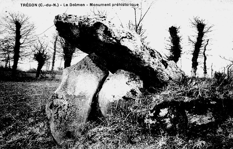 Ville de Trégon (Bretagne) : le dolmen.