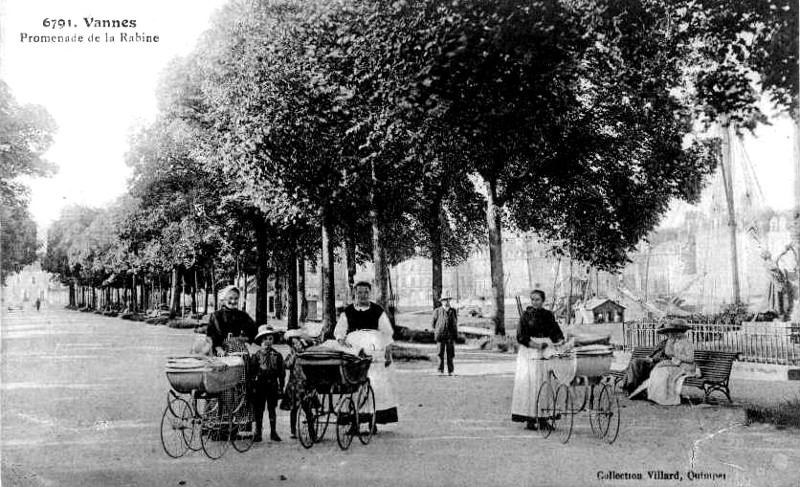 Promenade de la Rabine  Vannes (Bretagne).