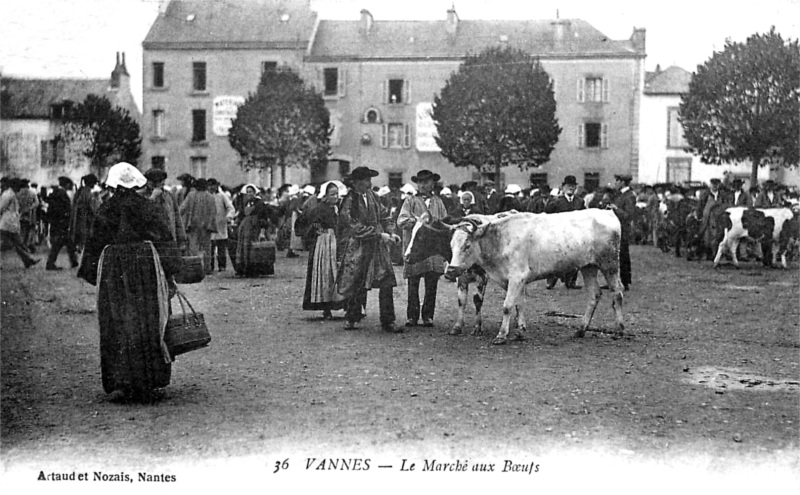 Ville de Vannes (Bretagne).